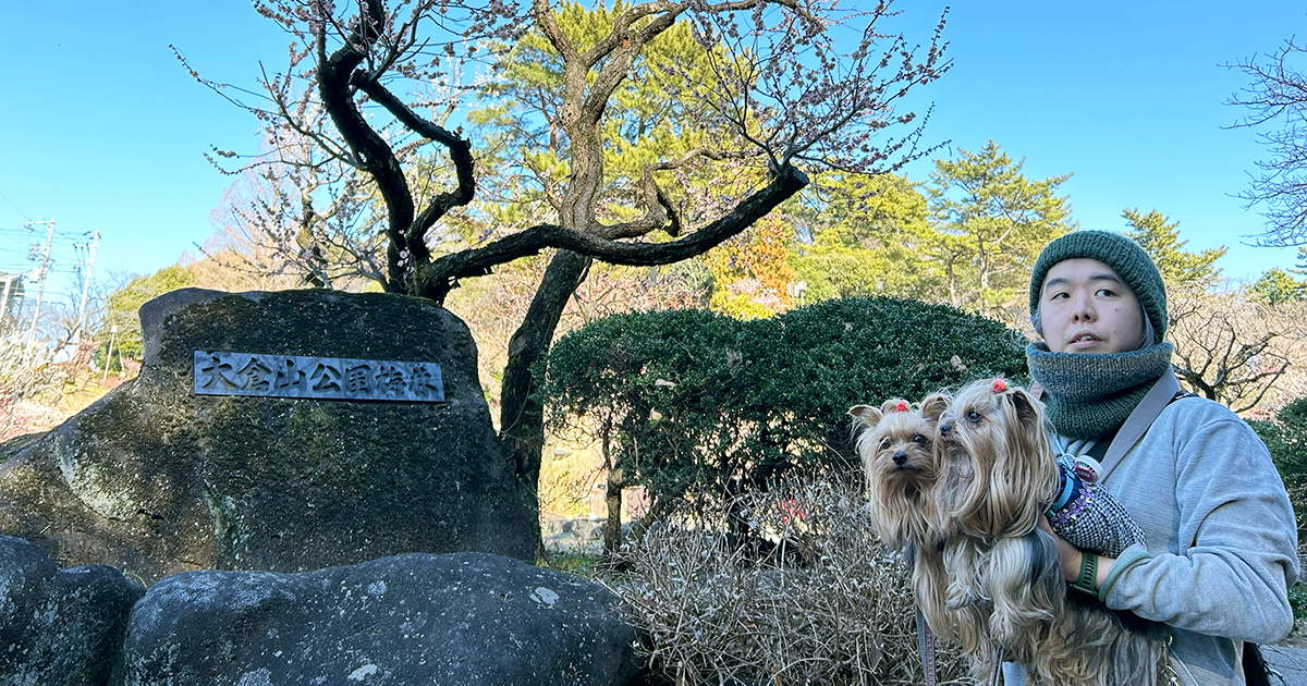 大倉山公園 梅林 入口