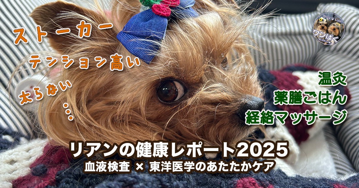 リアンは血液検査よりも性格の問題