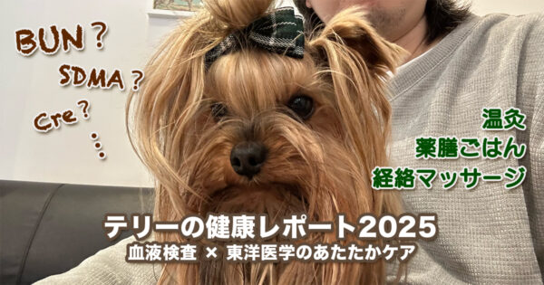 ドキドキの血液検査、お家での優しいケア