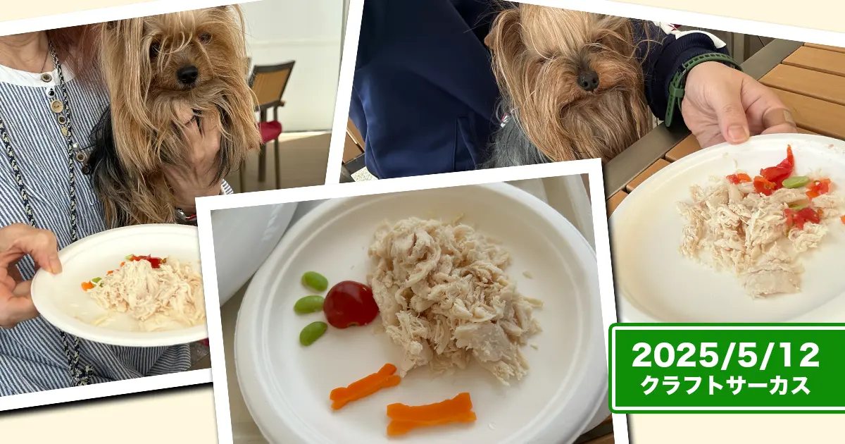クラフトサーカスさんのドッグメニュー『淡路鶏のほぐしささみ』と睨めっこするヨーキーズ（テリー＆リアン）のコラージュ