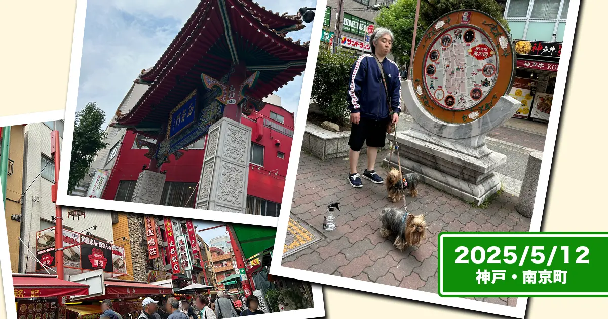 神戸・南京町のコラージュ