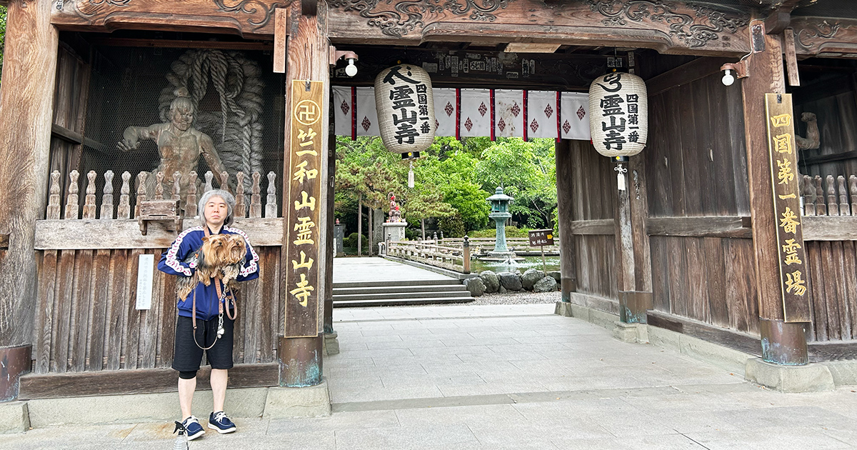 霊山寺門前にてヨークシャテリアのテリーとリアンと記念撮影