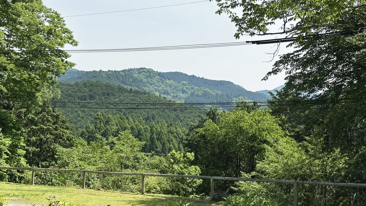 奈良県の吉野にある『花見塚 楽』から見る桜（時期はずれの新緑）