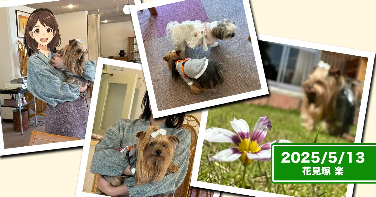 奈良県吉野の『花見塚 楽』で親戚さんに抱っこされたり、お店のわんこと遊んだりしているヨークシャーテリア（テリー＆リアン）のコラージュ