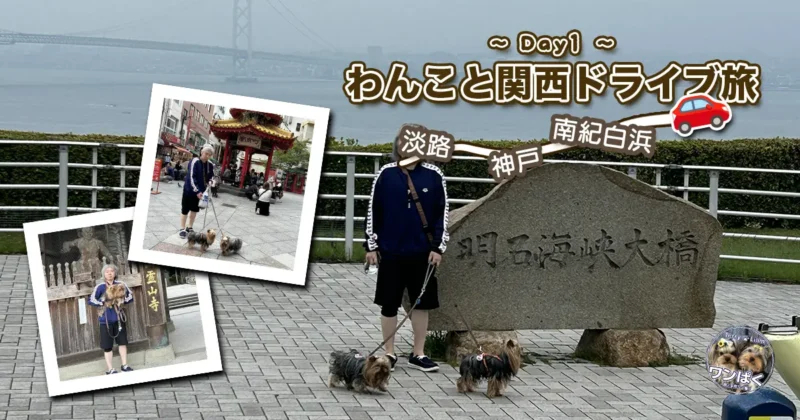 わんこと関西ドライブ旅~Day1~のサムネイル。明石海峡大橋のモニュメントの前でヨーキーズ（テリー＆リアン）とけい（親びん）が立ち、南京町や霊山寺のコラージュも