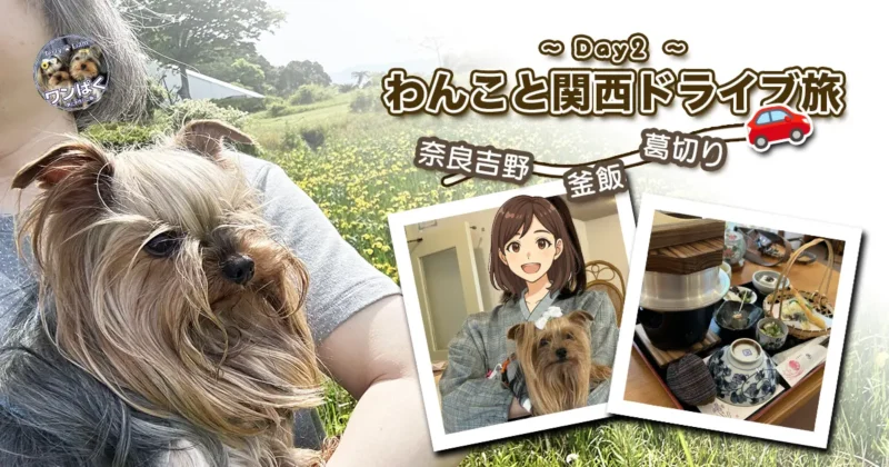 わんこと関西ドライブ旅~Day2~のサムネイル。南紀白浜わんわんパラダイスの庭で抱っこされているヨーキー（テリー）の上に、奈良県吉野の親戚さんに抱っこされているヨーキー（リアン）や釜飯のコラージュを載せて…。