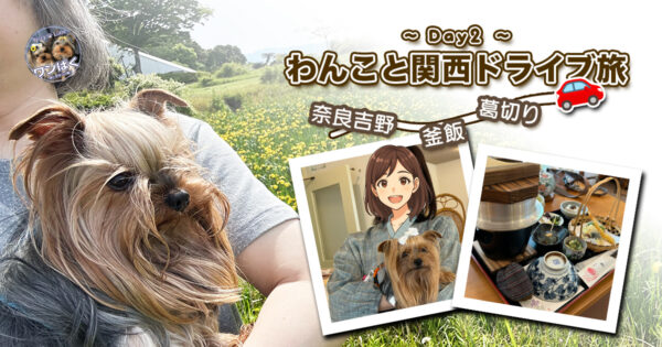 わんこと関西ドライブ旅~Day2~
