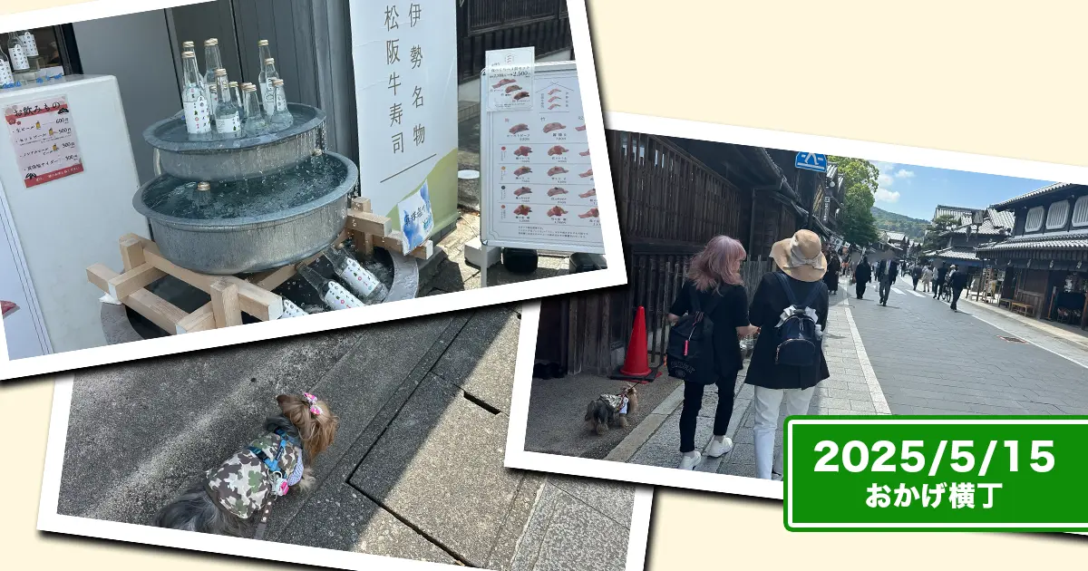 おかげ横丁を散策するヨークシャーテリア(テリー&リアン)と人間のコラージュ。ラムネをタライで冷やしているのが風流