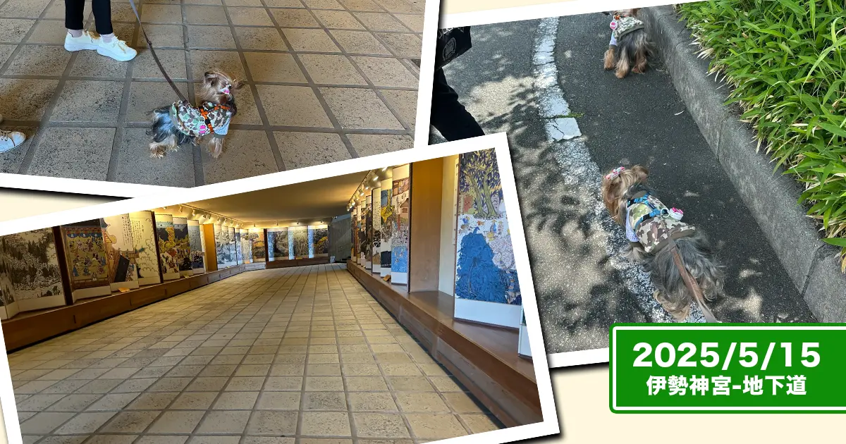 駐車場からおかげ横丁へ向かう地下道。そこを歩くヨーキーズ(テリー&リアン)の姿もコラージュ。