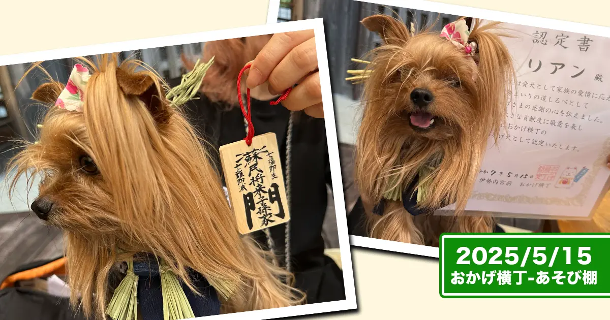 「おかげ犬体験」の特典でもらえる木札