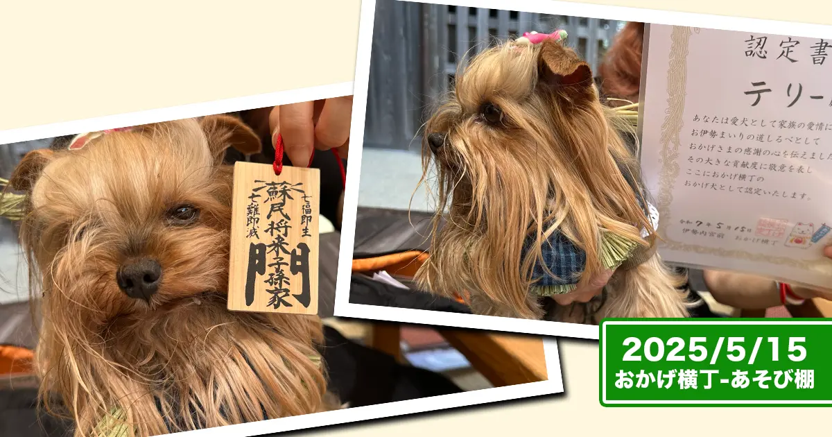 「おかげ犬体験」の特典でもらえる木札