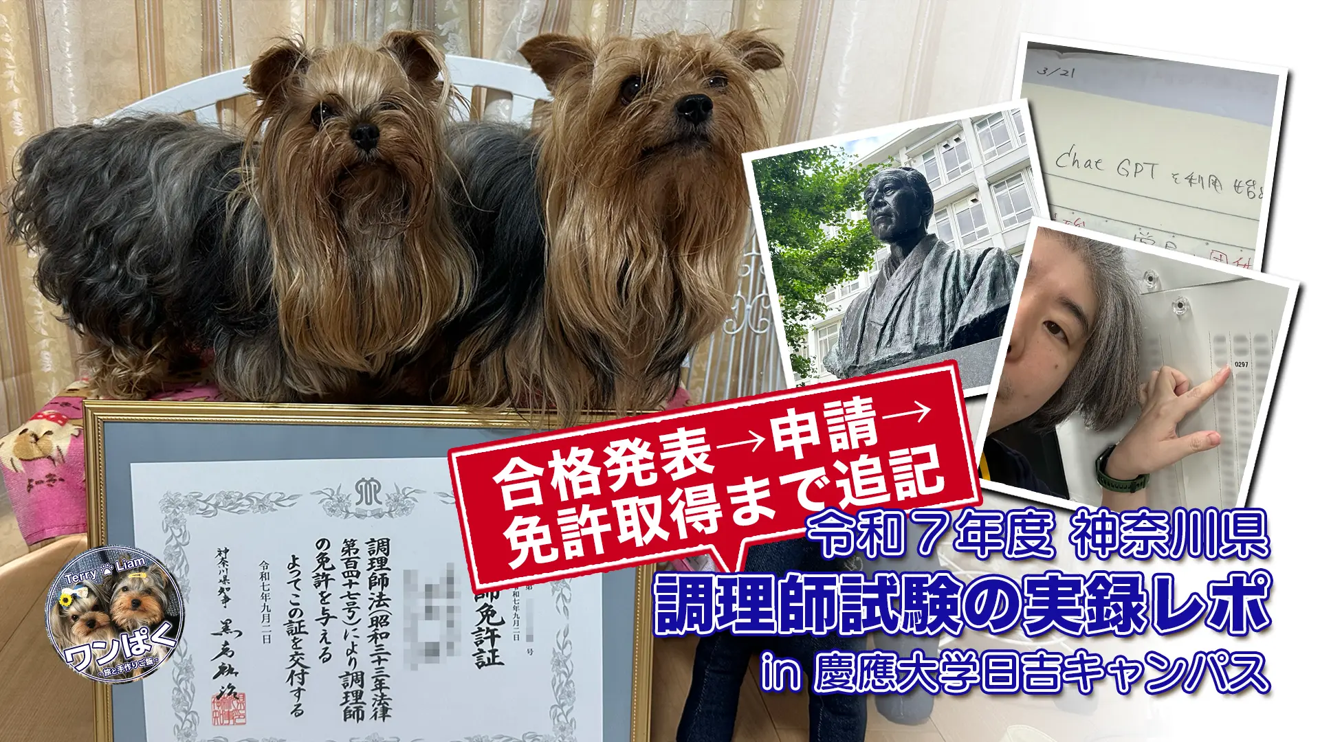 令和7年度 神奈川県の調理師試験体験記｜合格発表から免許申請まで追記