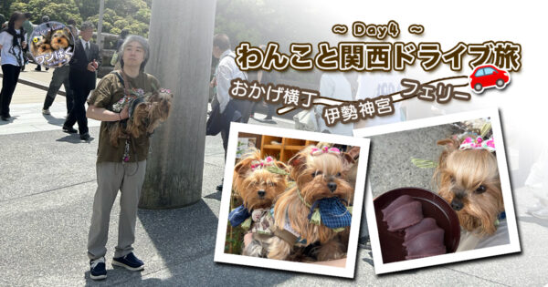 わんこと関西ドライブ旅~Day4~