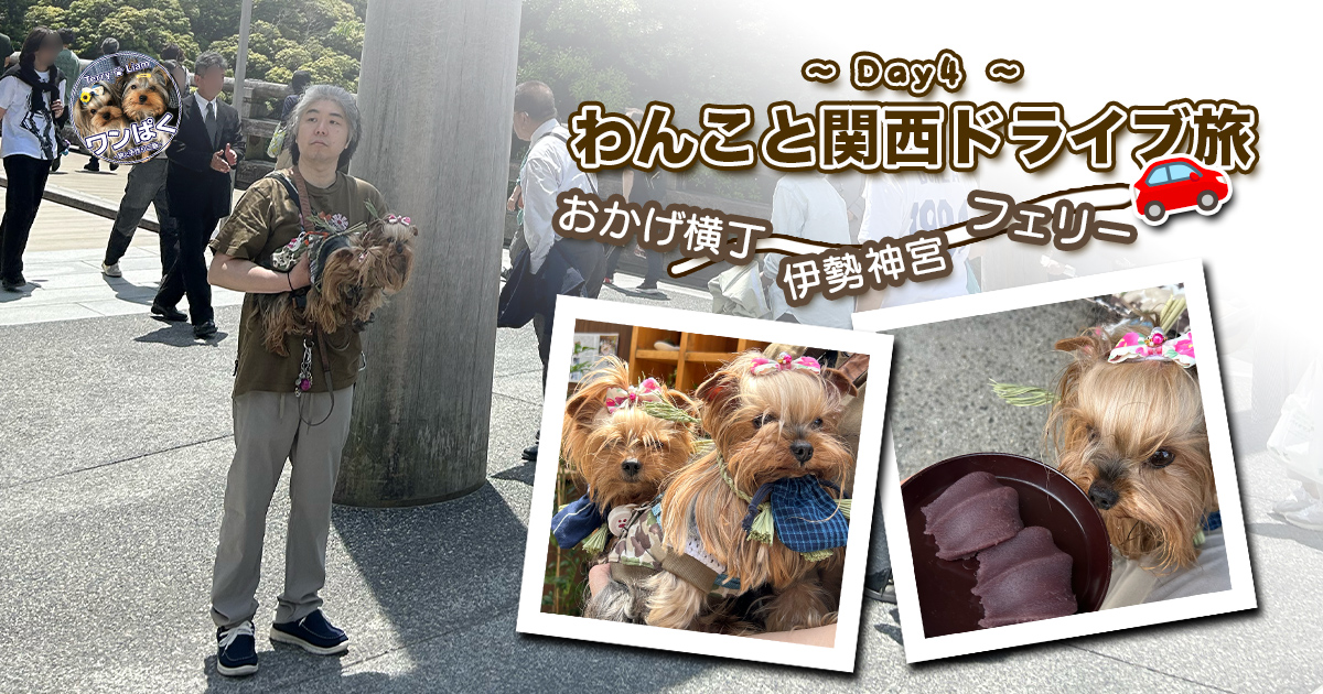 わんこと関西ドライブ旅~Day4~