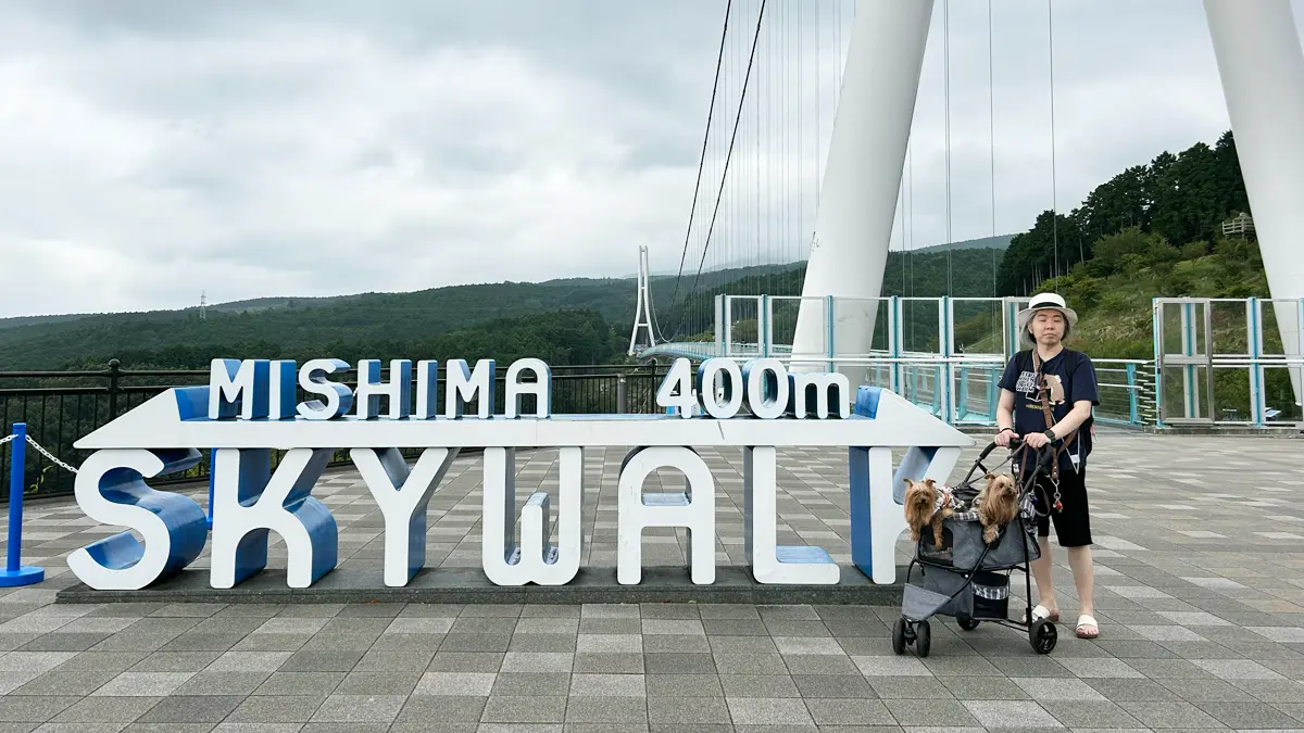 『三島スカイウォーク』さんのフォトスポットで記念撮影するヨーキーズ