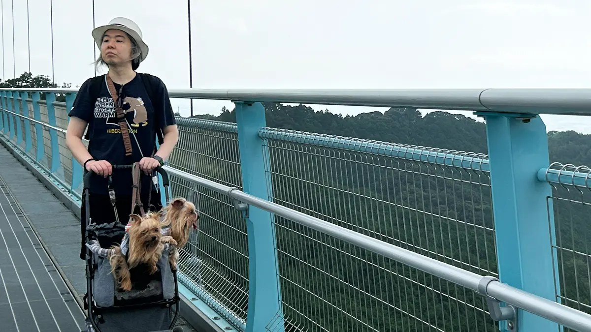 『三島スカイウォーク』さんの吊り橋。真ん中はグレーチングで下が見える