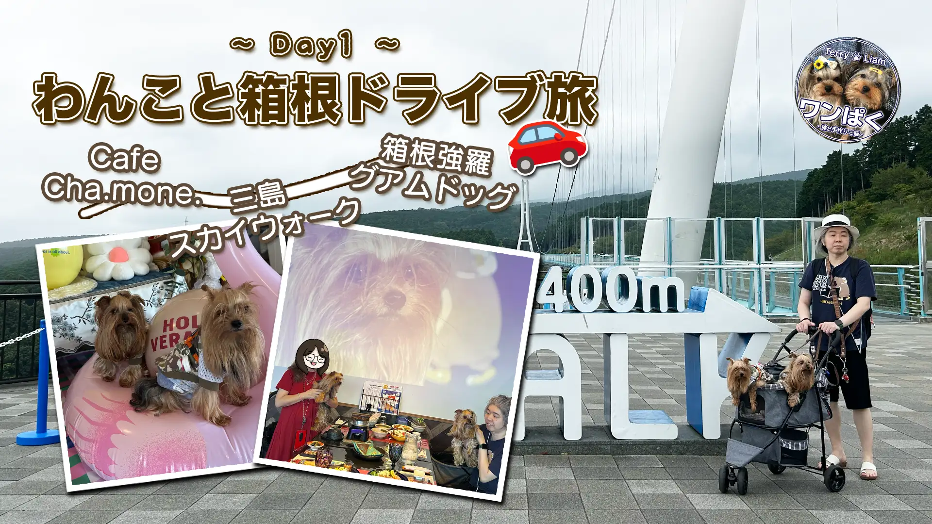 沼津『Cafe Cha.mone.』、三島スカイウォーク、箱根強羅グアムドッグ本店を愛犬と巡る箱根ドライブ旅1日目のアイキャッチ画像。