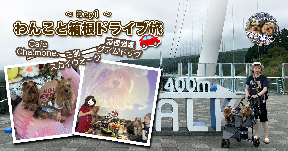 沼津『Cafe Cha.mone.』、三島スカイウォーク、箱根強羅グアムドッグ本店を愛犬と巡る箱根ドライブ旅1日目のアイキャッチ画像。