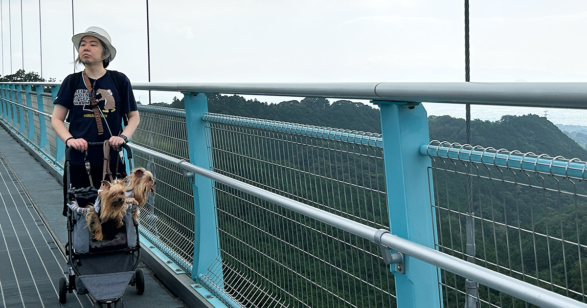 『三島スカイウォーク』さんの吊り橋。真ん中はグレーチングで下が見える