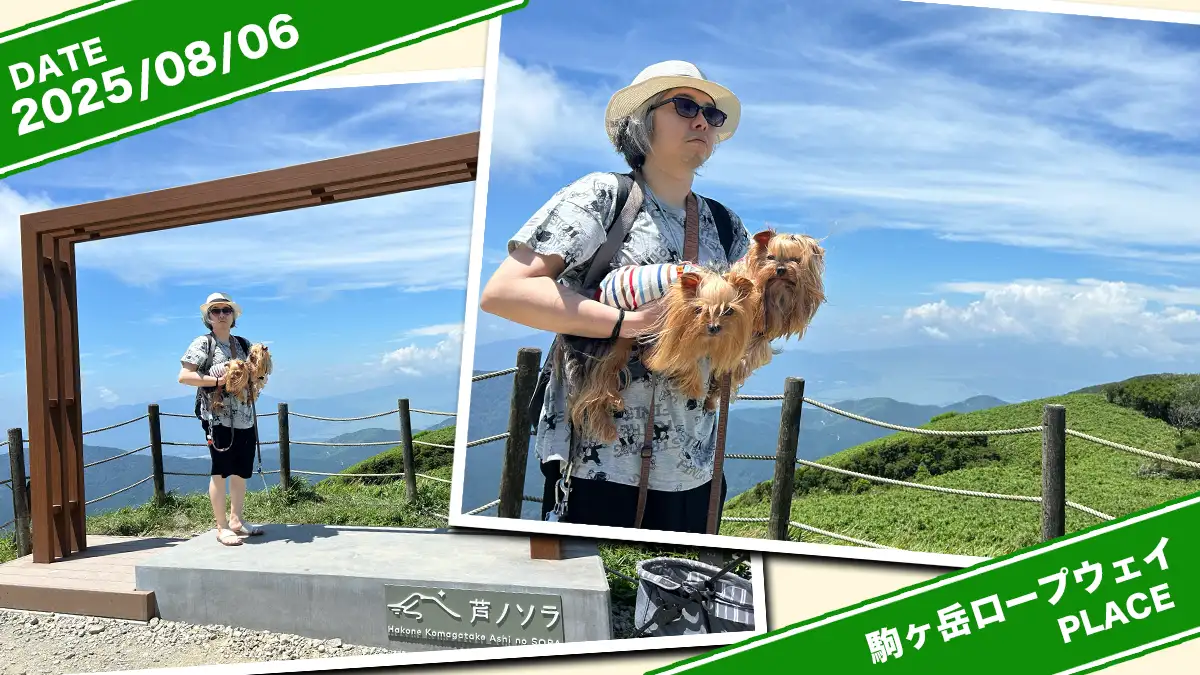 駒ヶ岳ロープウェイを登った先にある芦ノソラからみる富士山方面の景色コラージュ