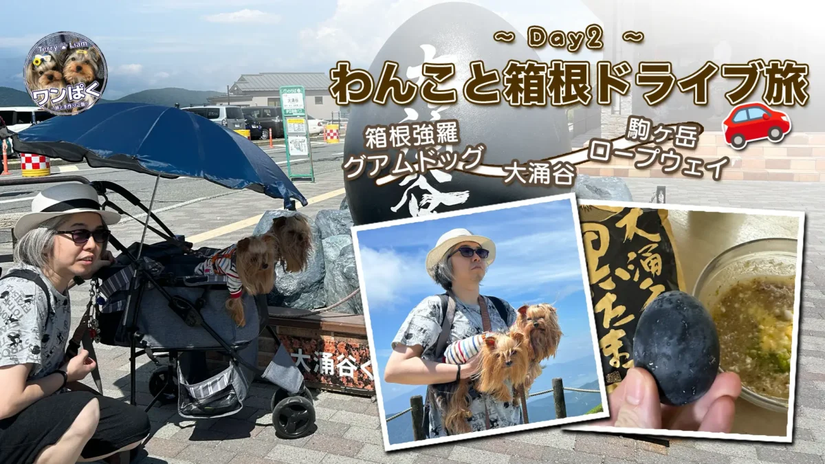 犬連れ箱根2日目のアイキャッチ画像。大涌谷の黒たまごモニュメント前で日傘付きカートのヨークシャーテリア、駒ヶ岳ロープウェイや黒たまご実食のコラージュ。
