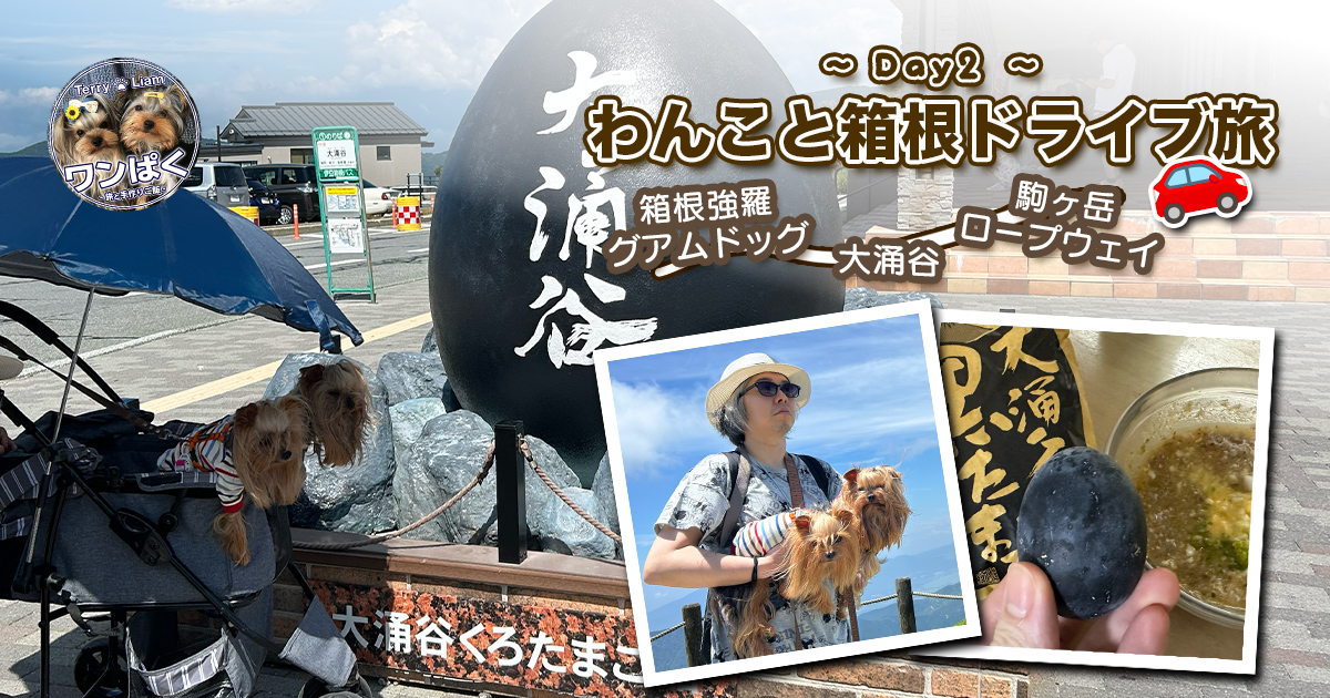 犬連れ箱根2日目のアイキャッチ画像。大涌谷の黒たまごモニュメント前で日傘付きカートのヨークシャーテリア、駒ヶ岳ロープウェイや黒たまご実食のコラージュ。