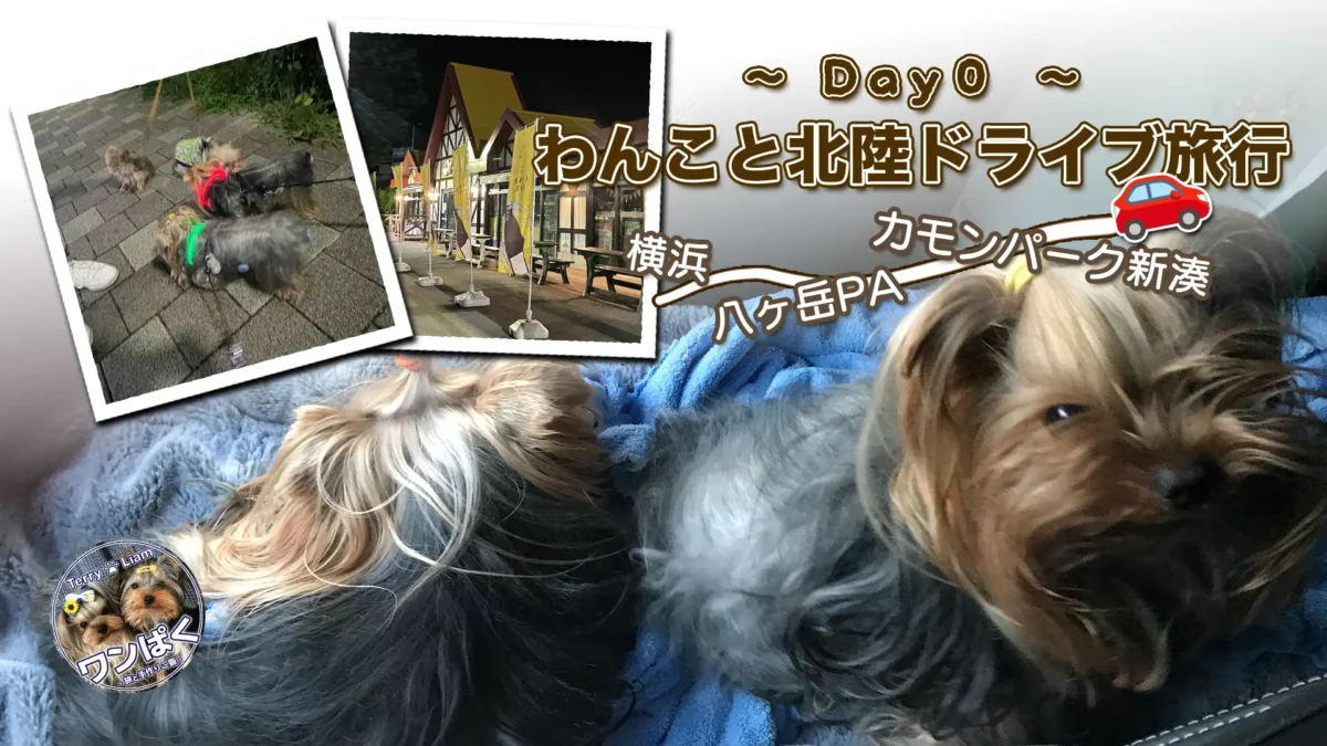 「Day0 わんこと北陸ドライブ旅行」アイキャッチ画像。横浜から新湊へ向かう車旅ルート（八ヶ岳PA・カモンパーク新湊）や、休憩中のヨークシャーテリア（テリー＆リアン）の様子をコラージュした旅行記ビジュアル。
