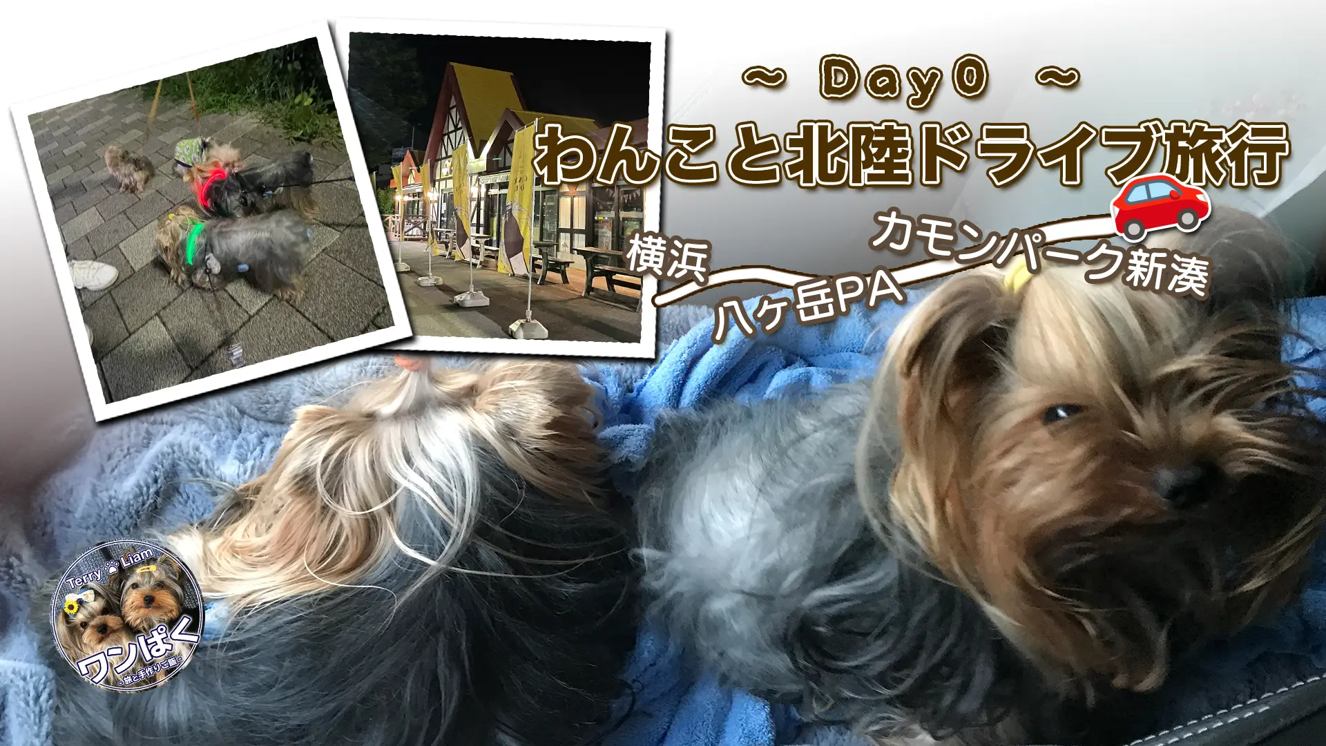 「Day0 わんこと北陸ドライブ旅行」アイキャッチ画像。横浜から新湊へ向かう車旅ルート(八ヶ岳PA・カモンパーク新湊)や、休憩中のヨークシャーテリア(テリー&リアン)の様子をコラージュした旅行記ビジュアル。
