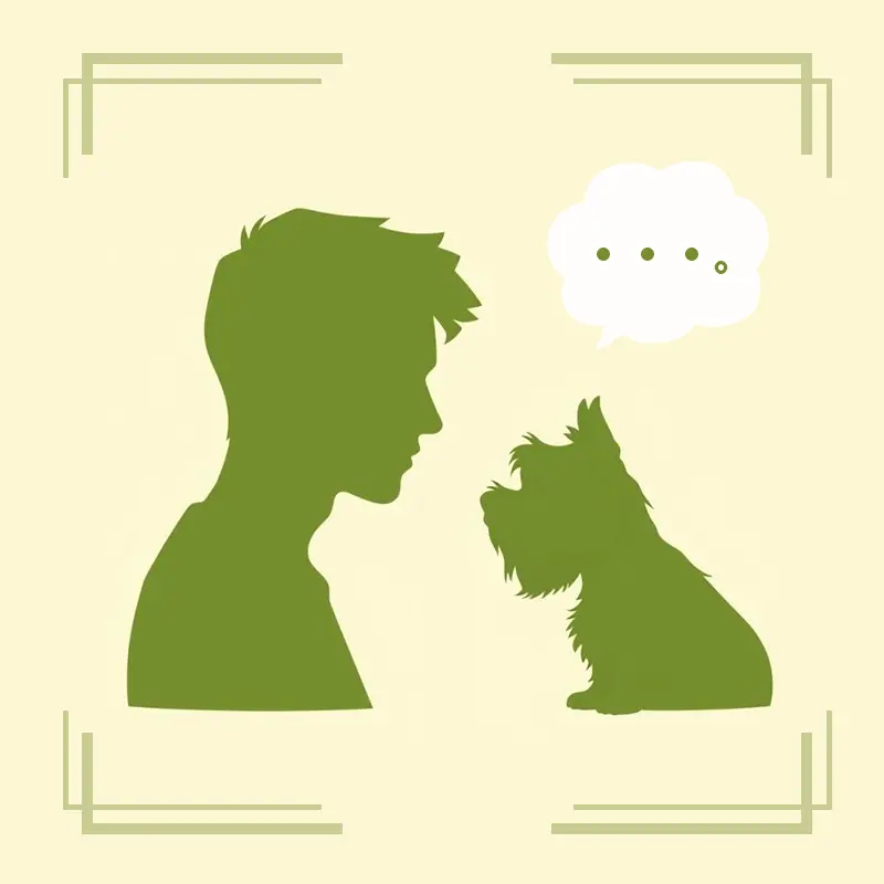 アニマルコミュニケーションの案内へ