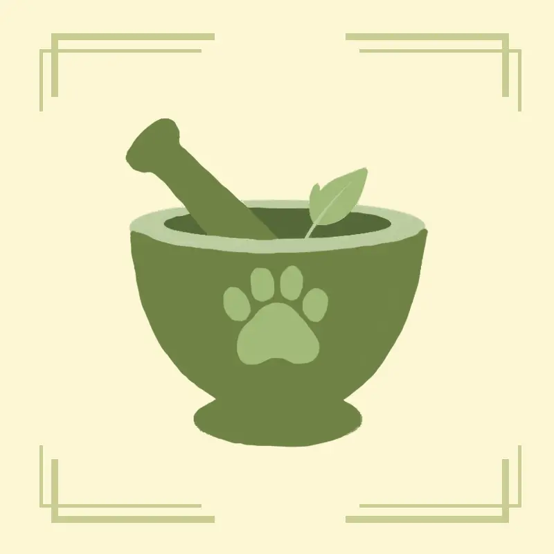 ペット薬膳＆マッサージの案内へ