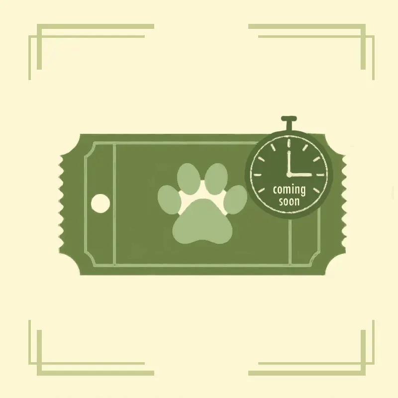 クーポン・最新のお知らせ（準備中）へ