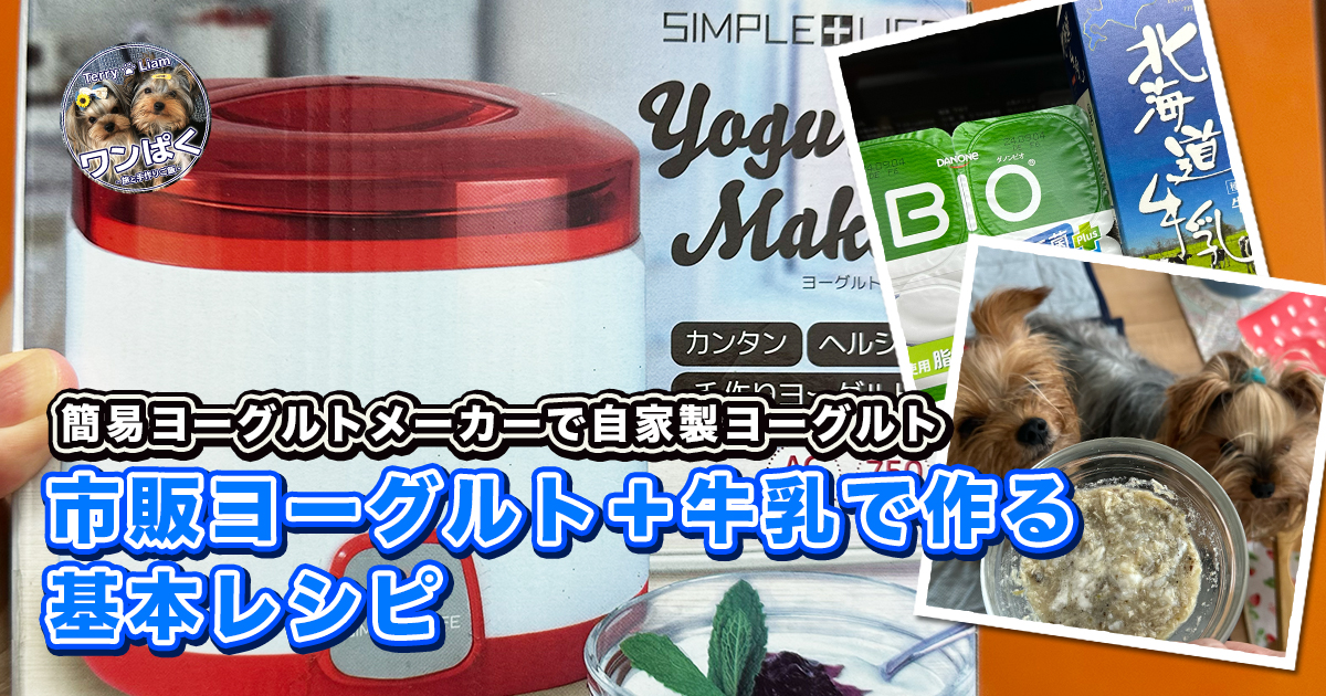 簡易ヨーグルトメーカーと材料と実食待ちのヨーキーズ（テリー＆リアン）