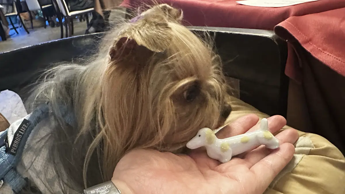 伊豆高原わんわんパラダイスさんの箸置きは犬の形!