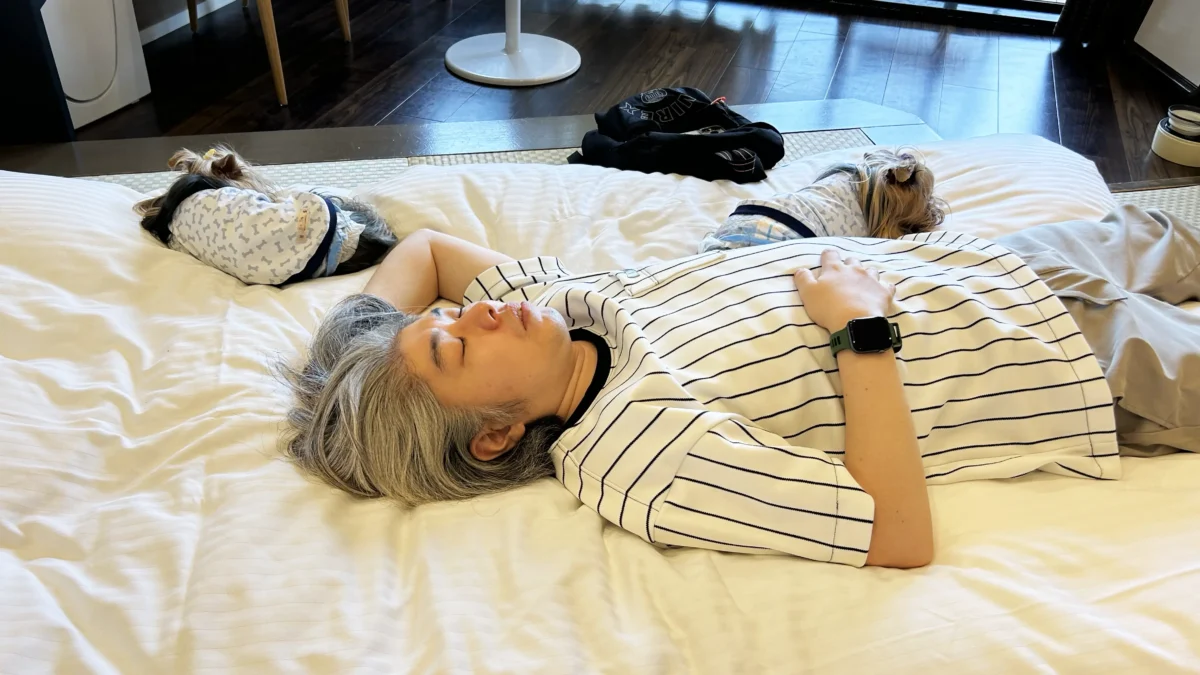 伊豆高原わんわんパラダイスさんの部屋で仮眠する3人(けい(親びん)、テリー、リアン)