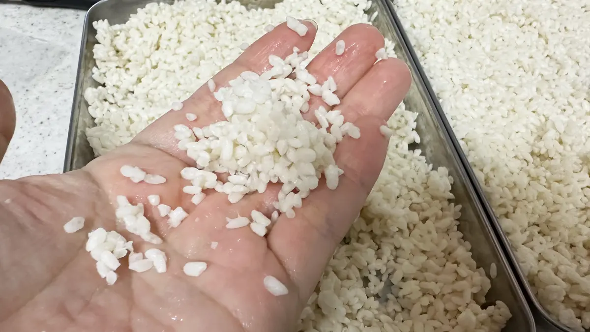 バットに広げた麹に水を回しかけ、軽く握って塊になった様子