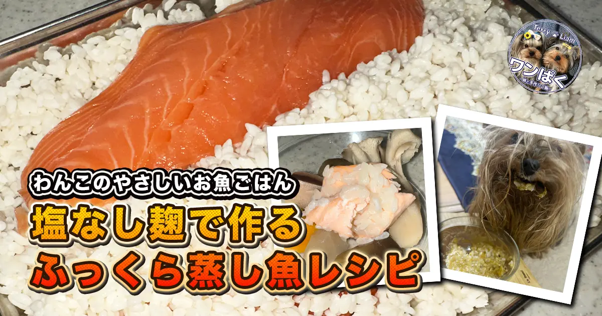 バットの上で麹に浸けた鮭を背景に、完成の器、食べてニンマリのヨーキーのポラロイド風写真を載せている。