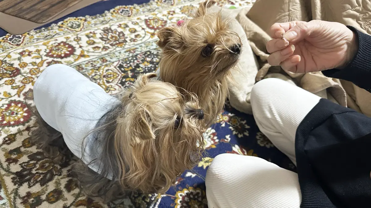 出来立てのローストビーフを味見しているヨーキーズ（テリー＆リアン）