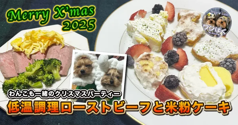 犬と一緒に食べるクリスマスディナーの手作り例。低温調理のローストビーフと米粉の犬用クリスマスケーキを盛り付けた写真。