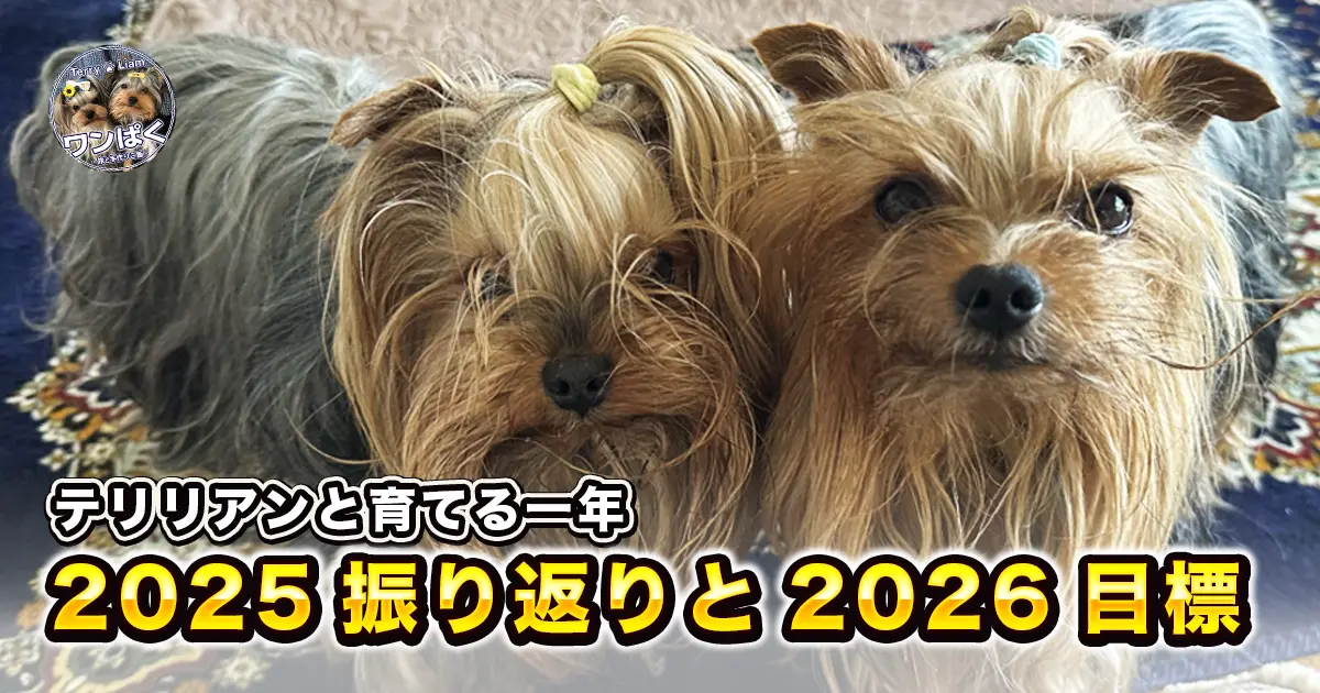 テリーとリアンの写真 テリリアンと育てる一年 2025年の振り返りと2026年の目標