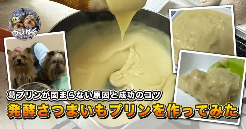 発酵さつまいもあんと豆乳、本葛で作る葛プリンのアイキャッチ。鍋でとろみが出る様子と、完成したプリン、テリーとリアンの写真をコラージュし「葛プリンが固まらない原因と成功のコツ／発酵さつまいもプリンを作ってみた」と文字入り。