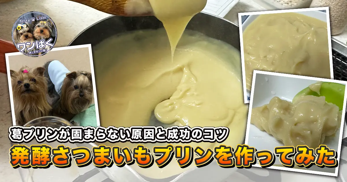 発酵さつまいもあんと豆乳、本葛で作る葛プリンのアイキャッチ。鍋でとろみが出る様子と、完成したプリン、テリーとリアンの写真をコラージュし「葛プリンが固まらない原因と成功のコツ／発酵さつまいもプリンを作ってみた」と文字入り。