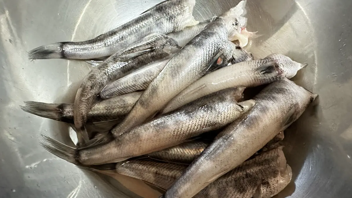 頭と内臓を取ったメヒカリ