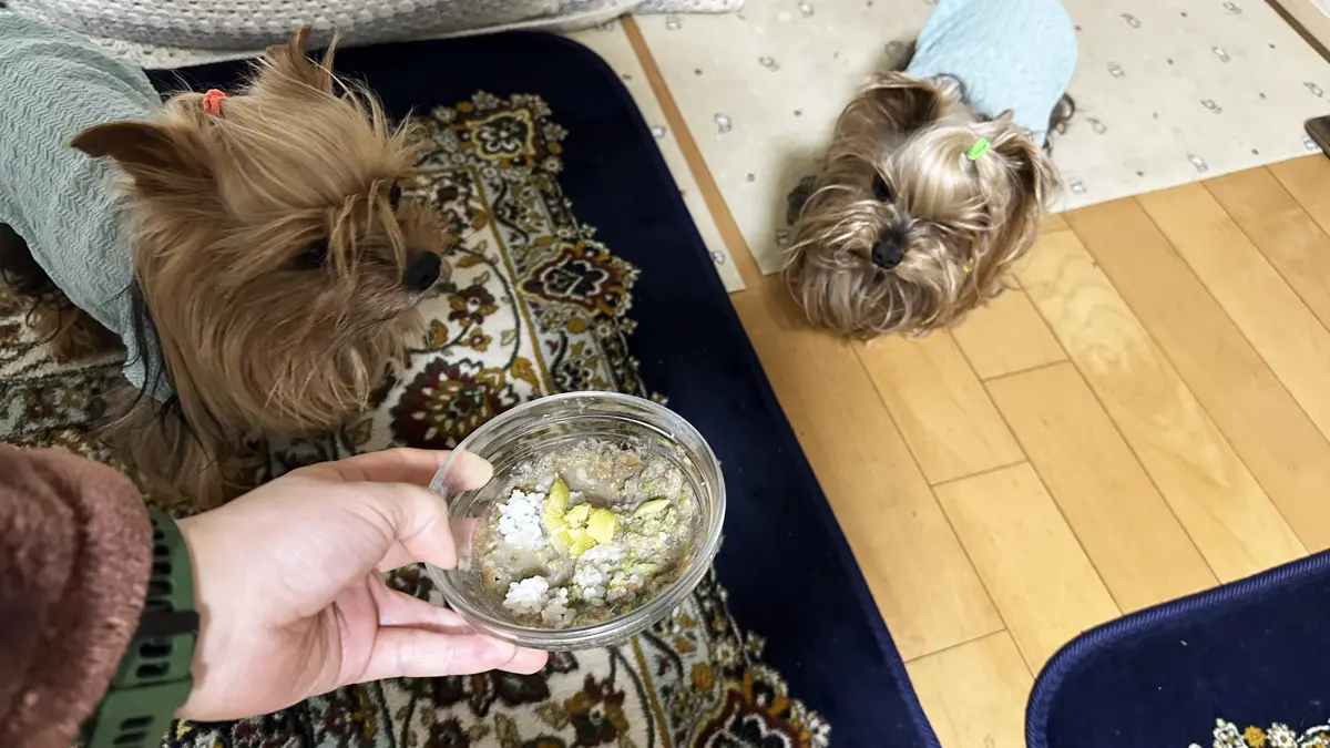 目光ご飯を目の前に前のめりになるリアンと、ちょっと遠目に眺めるテリー