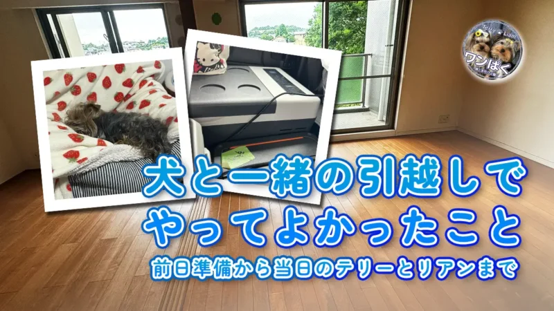 神奈川から千葉への犬連れ引っ越しで実際にやってよかったことを紹介するブログ記事用のアイキャッチ画像です。旧居の室内写真を背景に、テリーとリアンの写真、車載冷蔵庫、引っ越し準備の様子を組み合わせ、前日準備・犬のご飯・トイレ・待機場所・当日の移動など、犬と一緒の引っ越しで気をつけたことを表現しています。