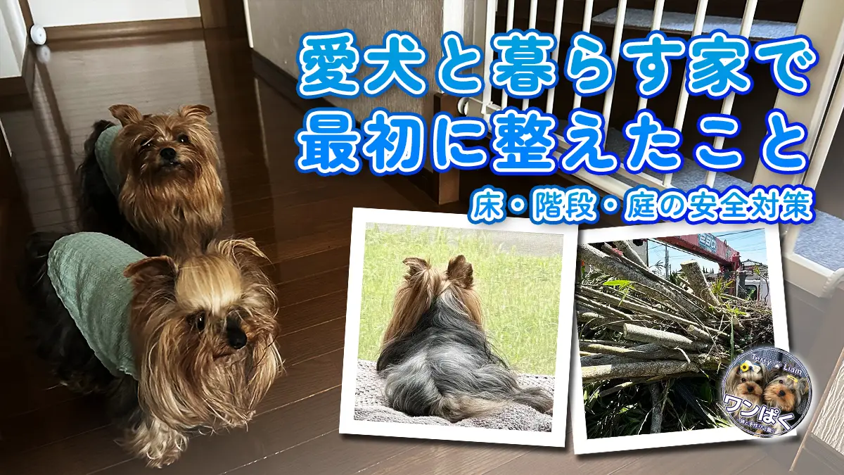 千葉へ移住後、犬と暮らす家で最初に行った安全対策。床コーティングや階段ゲート、庭の危険植物対策など、テリーとリアンが安心して暮らせる住環境づくりの様子。