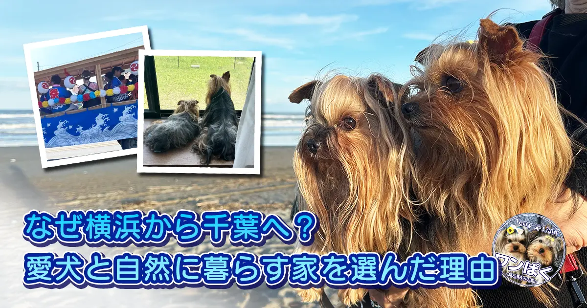 千葉県大網白里市へ移住し、海を背景にテリーとリアンが新しい暮らしを始める様子