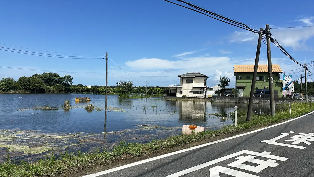 一面の畑だったのに冠水している