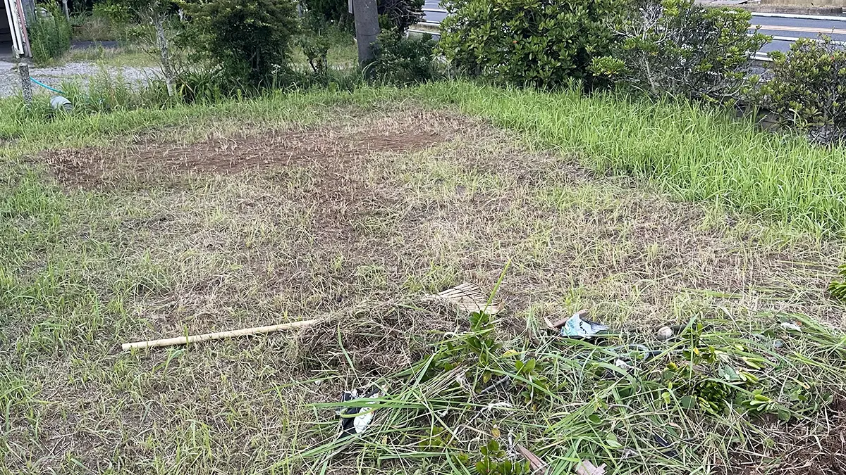 レイズドベッド設置予定地