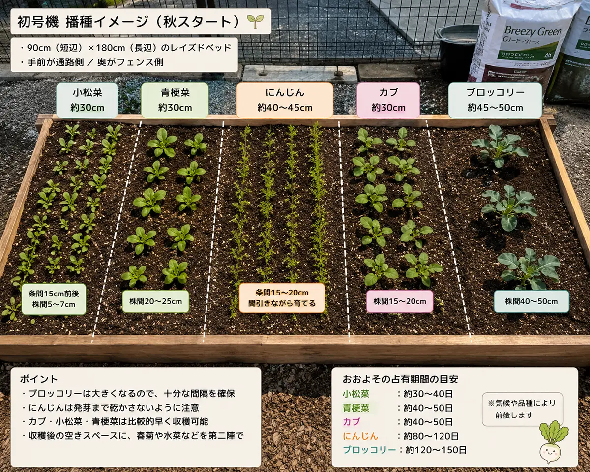 秋野菜を植える前に考えていた配置イメージ。