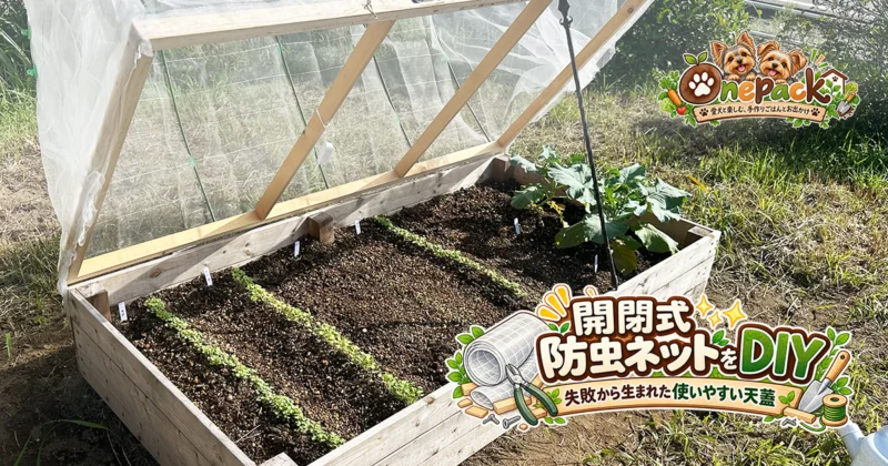 木製レイズドベッドにDIYした開閉式防虫ネット天蓋を開いた様子
